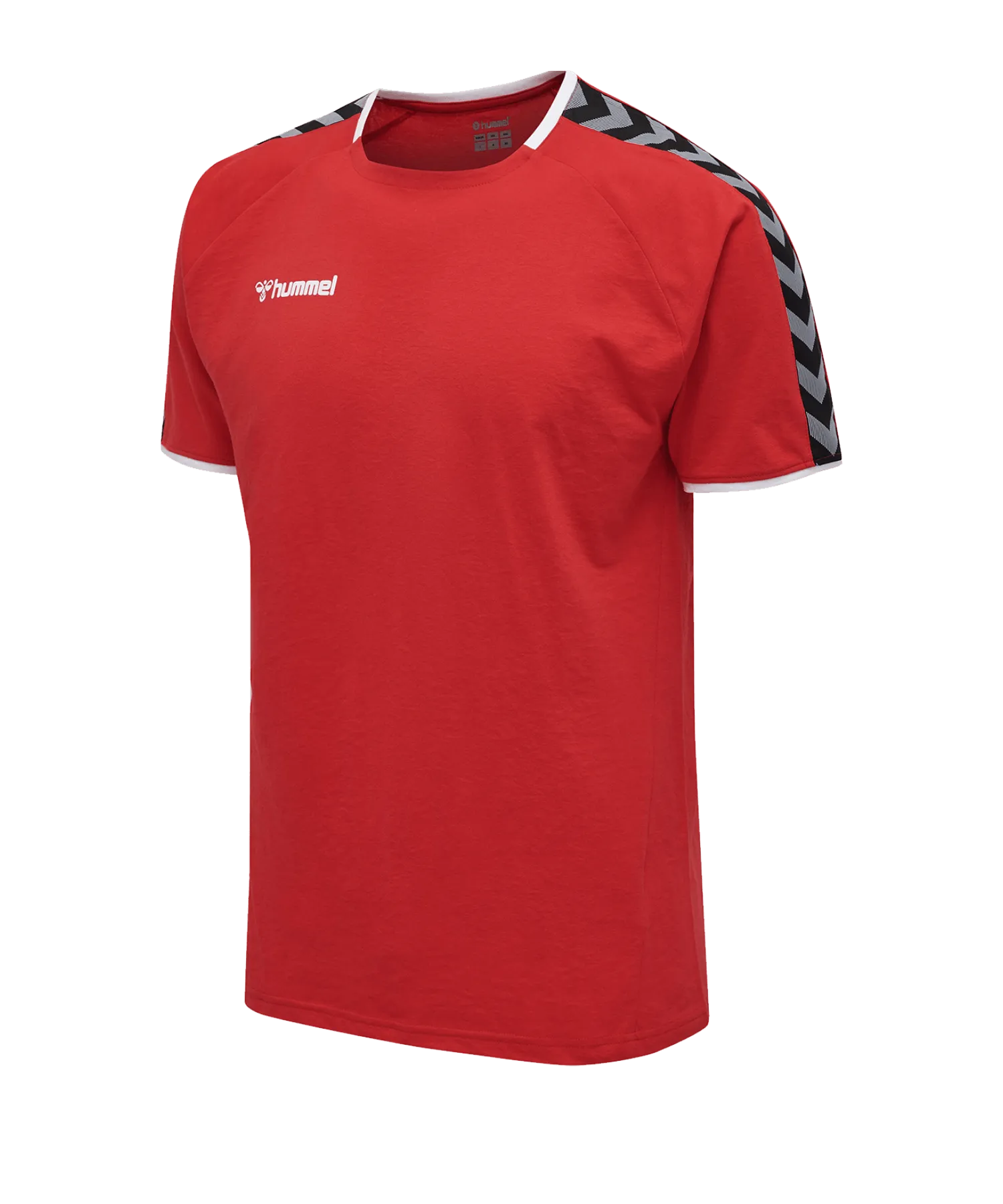 Camiseta Hummel AUTHENTIC TRAINING TEE