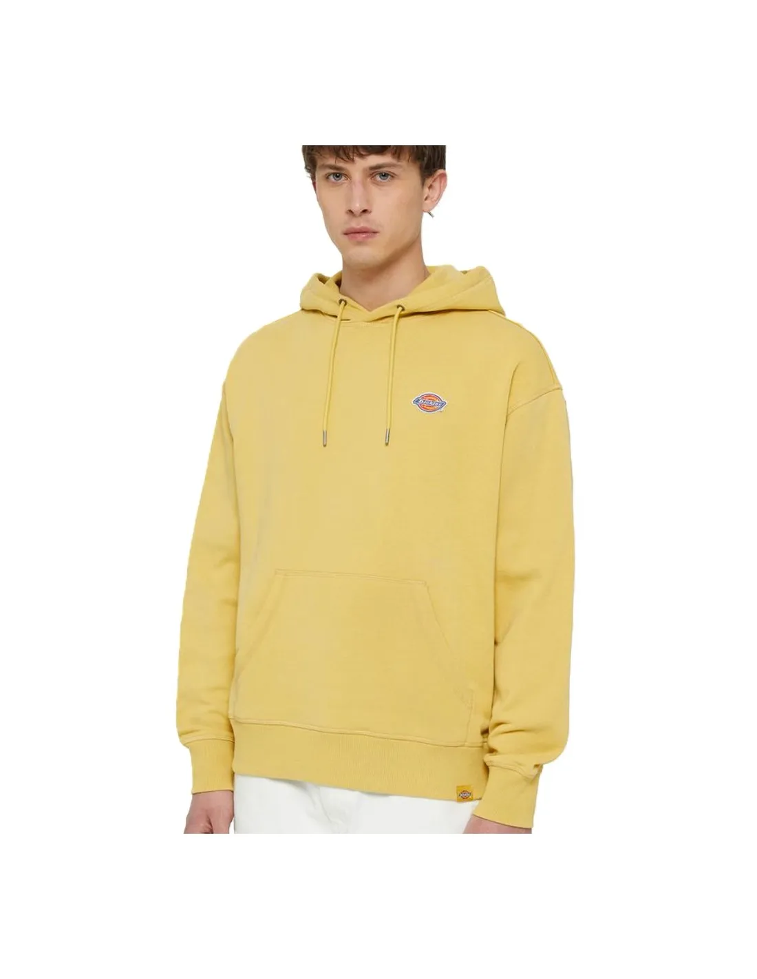 DICKIES MILLERBURG HOODIE FALL LEAF