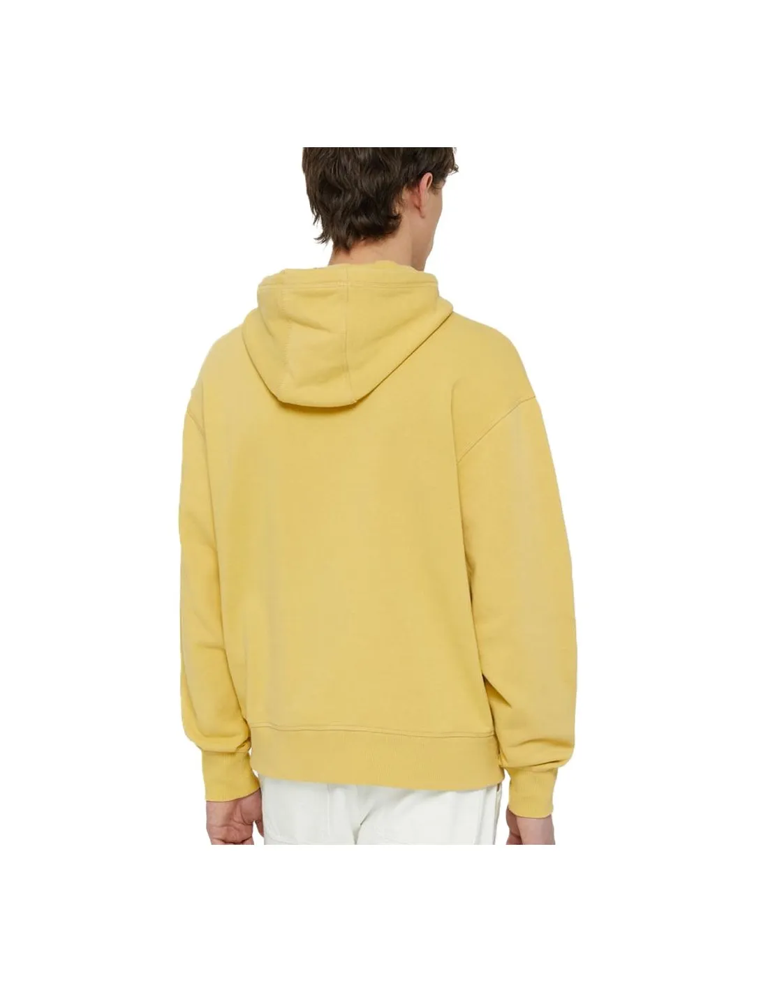 DICKIES MILLERBURG HOODIE FALL LEAF