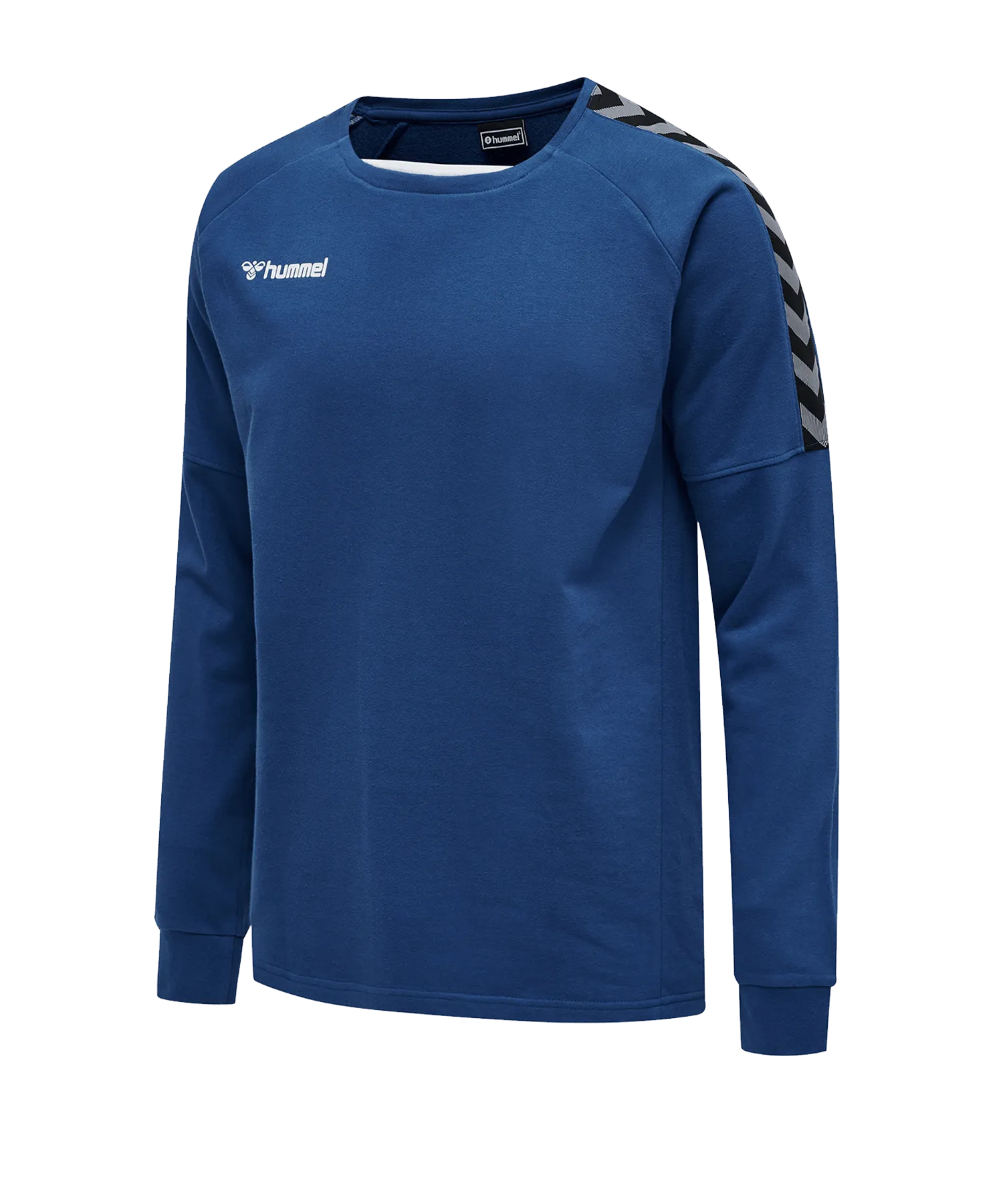 Sudadera Hummel AUTHENTIC TRAINING SWEAT